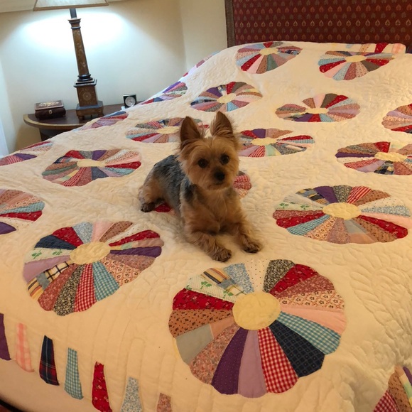 Hand made Other - China Plate Quilt